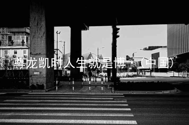 尊龙凯时人生就是博·(中国)