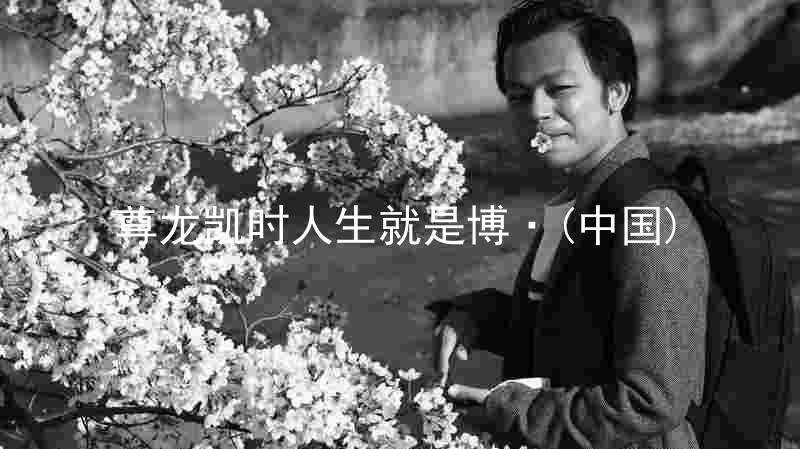 尊龙凯时人生就是博·(中国)